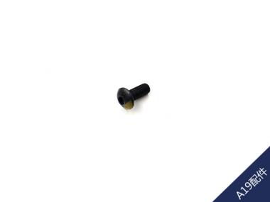 A19˿